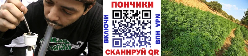 Наркошоп Волхов Галлюциногенные грибы ГАШИШ