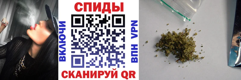 магазин продажи наркотиков  Волхов  БУТИРАТ буратино 