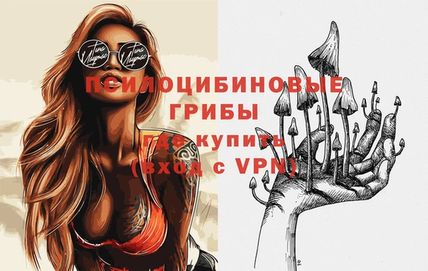 героин Алексин