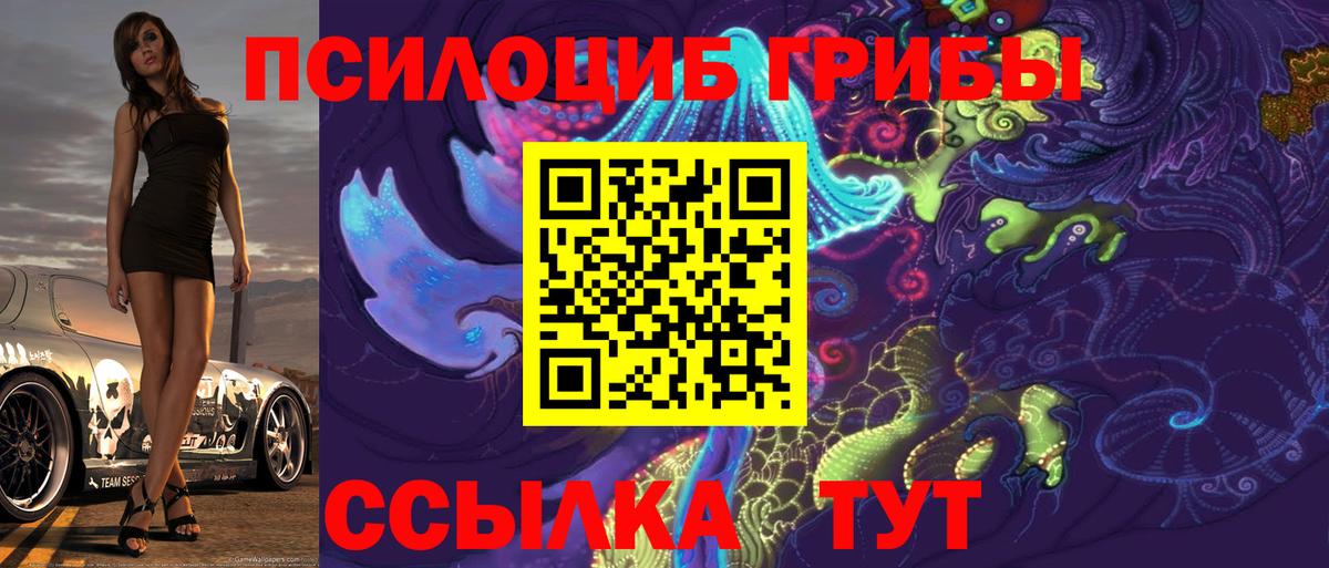 Псилоцибиновые грибы MAGIC MUSHROOMS Волхов