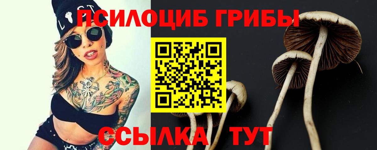 Псилоцибиновые грибы мицелий  Галлюциногенные грибы Cubensis  Вход с VPN  Волхов 